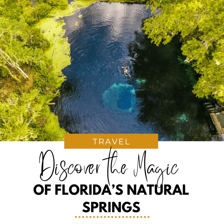 Discover the Magic of Florida's Natural Springs