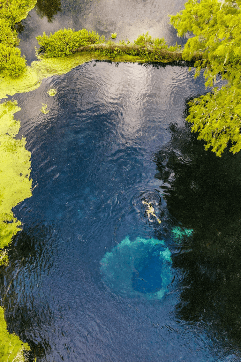 Ichetucknee Springs