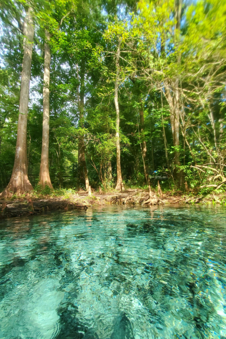 Ginnie Springs