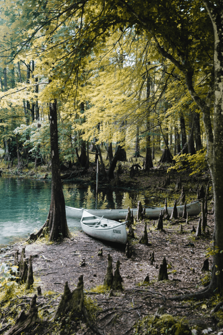 Early Morning Canoes at Ginnie Springs by Maverick Ocean