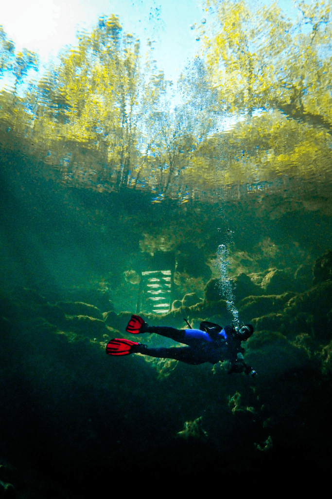 A local woman scuba diver with red fins swims beneath the clear greenish waters at Troy Springs State Park, Florida.