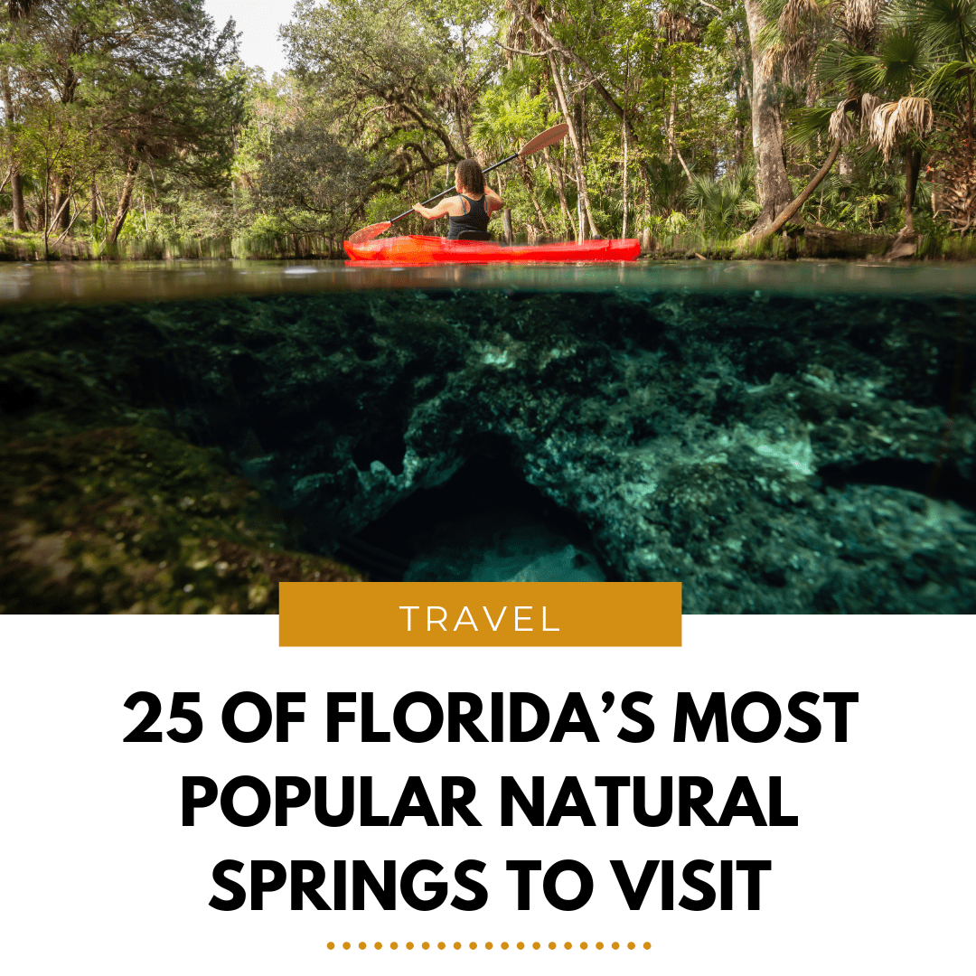 25 of Florida's Most Popular Natural Springs to Visit