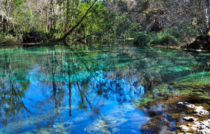 Ichetucknee Springs State Park