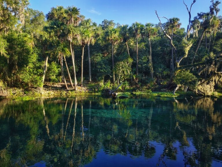 Blue Springs State Park