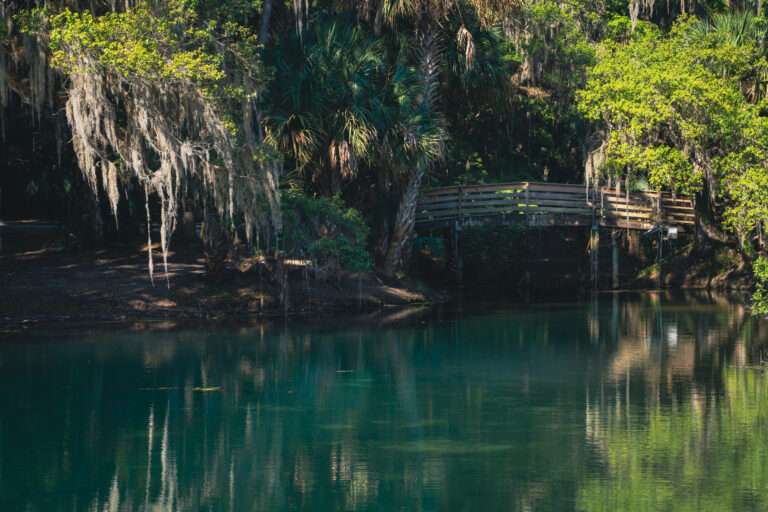 Gemini Springs, FLorida near DeBary.