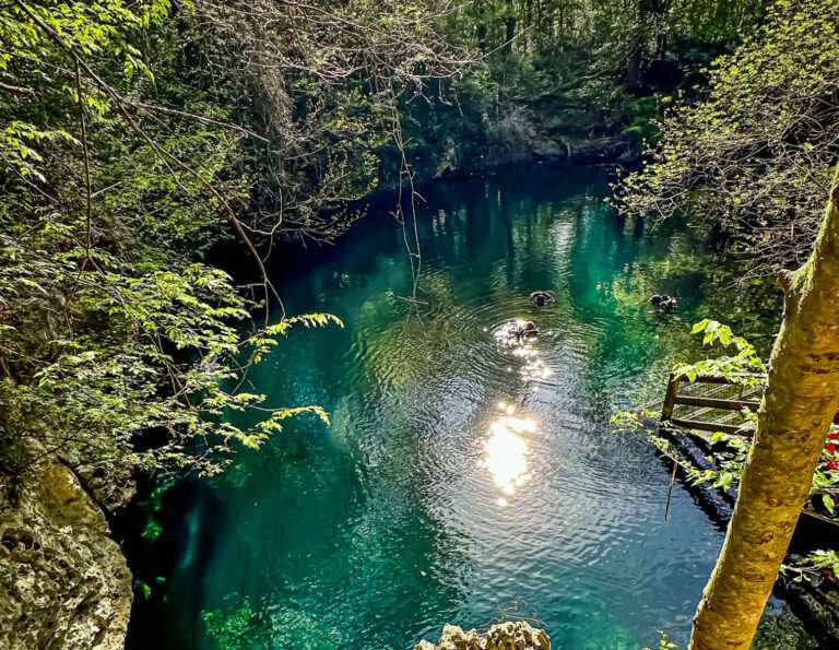 Wes Skiles Peacock Springs State Park