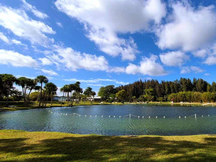 Warm Mineral Springs in Northport, FL