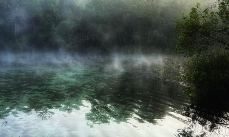 Foggy Morning at Alexander Springs Recreation Area located in the Ocala National Forest