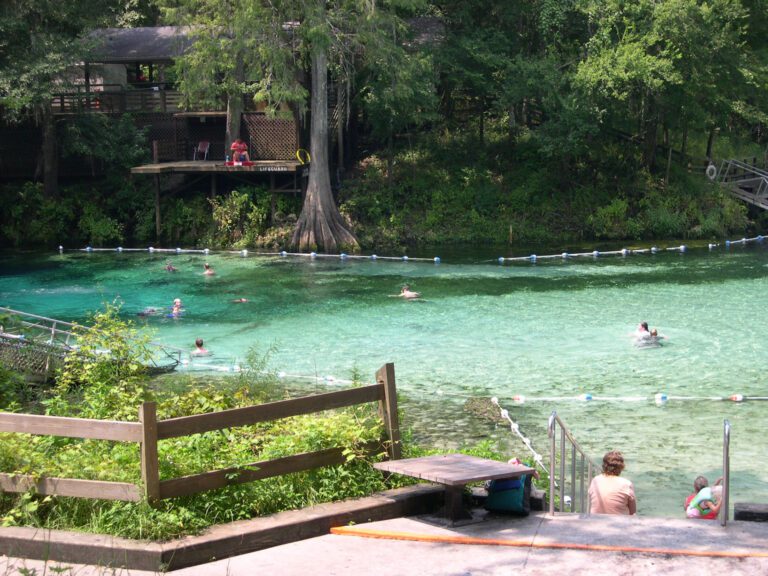 Springhead at Fanning Springs State Park