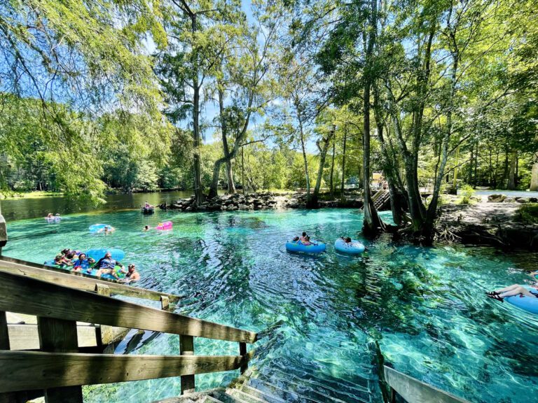 Swimmers and tubers at Ginnie Springs Outdoors area