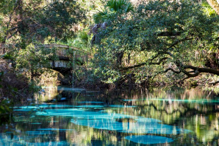 Wooden Bridge overlooking Juniper Springs