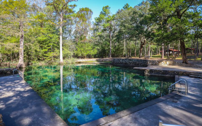 Ponce de Leon Springs State Park