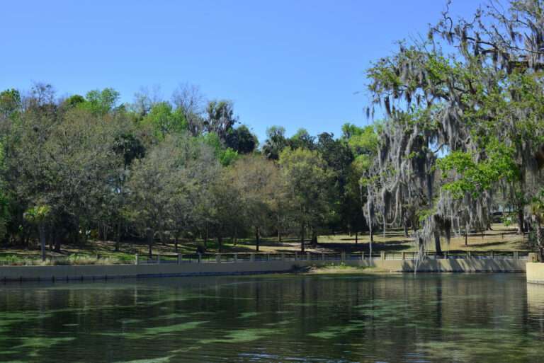 Salt Springs Recreation Area