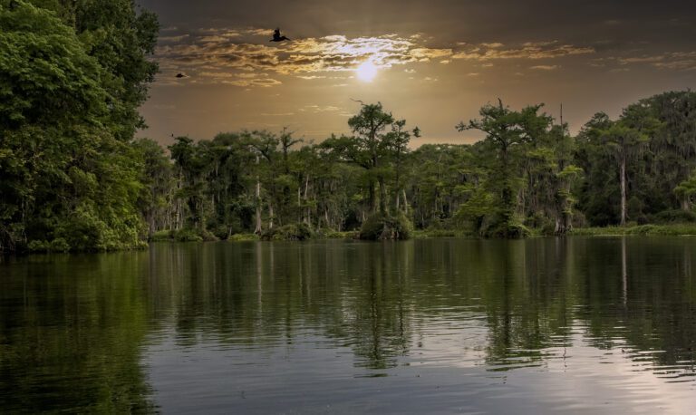 Edward Ball Wakulla Springs State Park