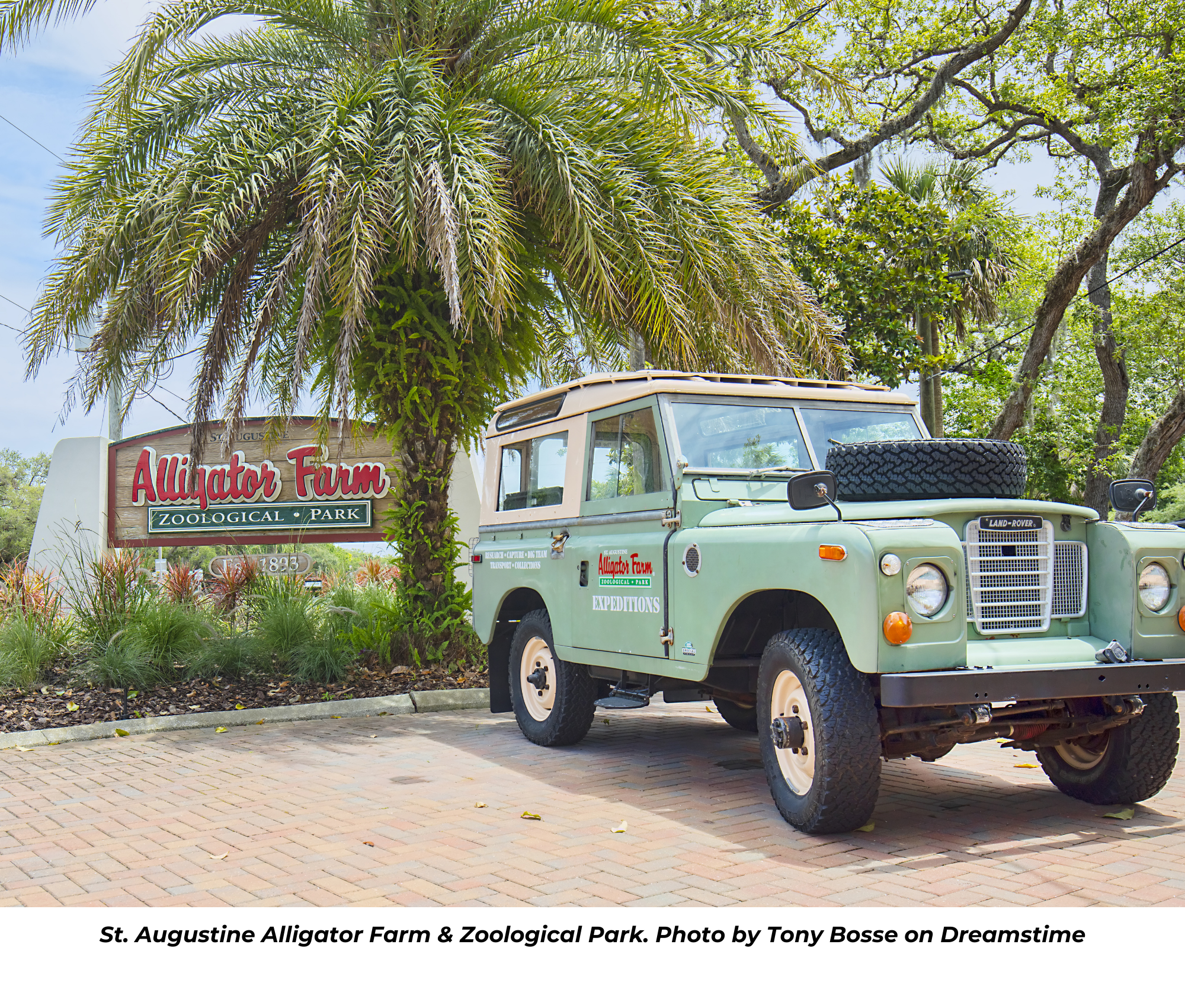 St. Augustine Alligator Farm & Zoological Park. Photo by Tony Bosse on Dreamstime